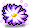 ヒソップの花.png